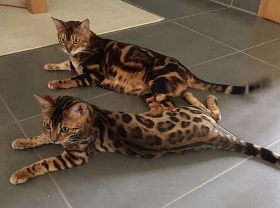 Kenya mit ihrem Söhnchen im neuen Zuhause